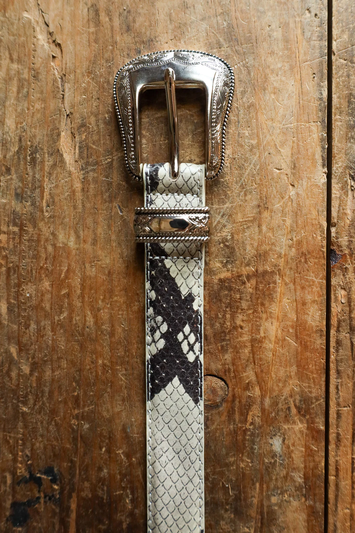 Maverick Exclusive Laurel and Gold Westlake Belt- Snake - Image 4