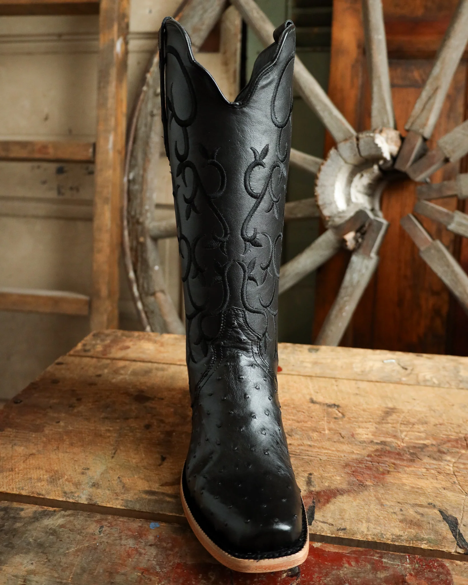 R. Watson Women's Ostrich Full Quill Ostrich Narrow Square 14" Boot - Image 3