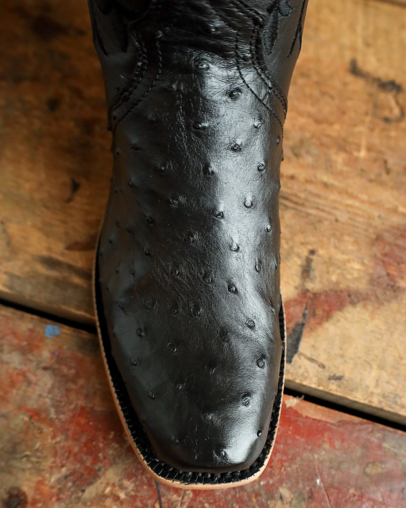 R. Watson Women's Ostrich Full Quill Ostrich Narrow Square 14" Boot - Image 4