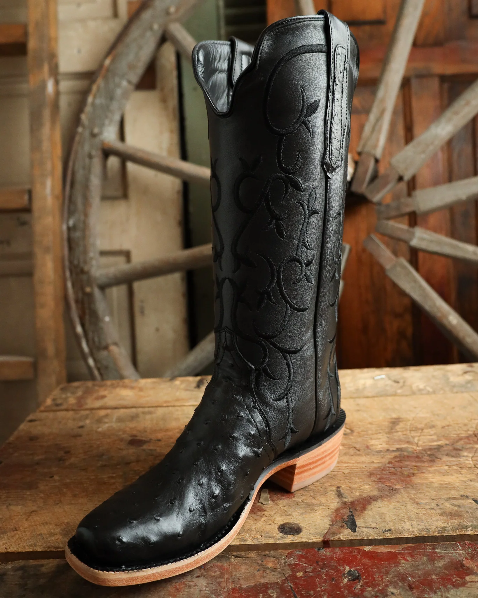 R. Watson Women's Ostrich Full Quill Ostrich Narrow Square 14" Boot - Image 5
