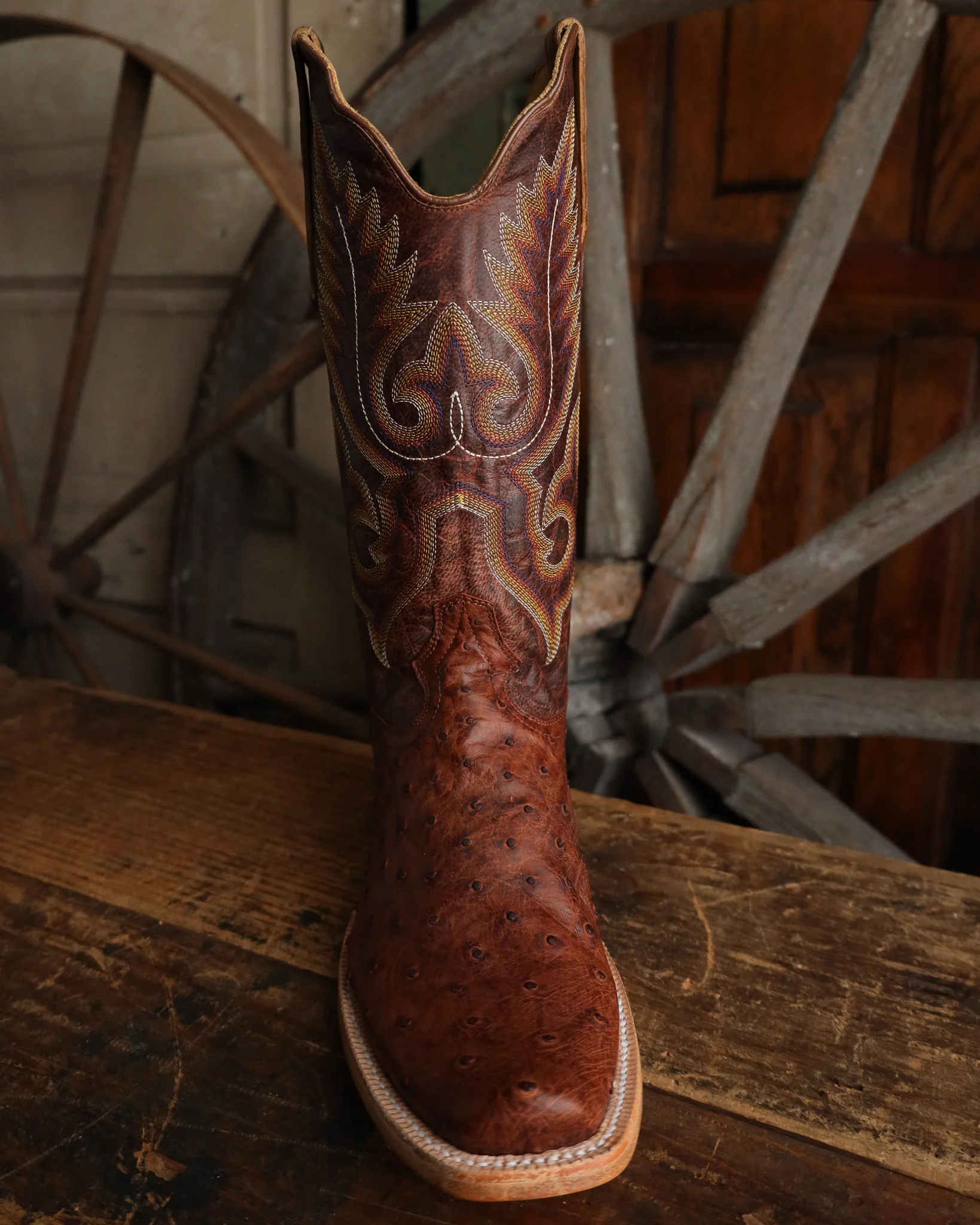 R. Watson Full Quill Ostrich Narrow Square Brass 13" Boot - Image 3