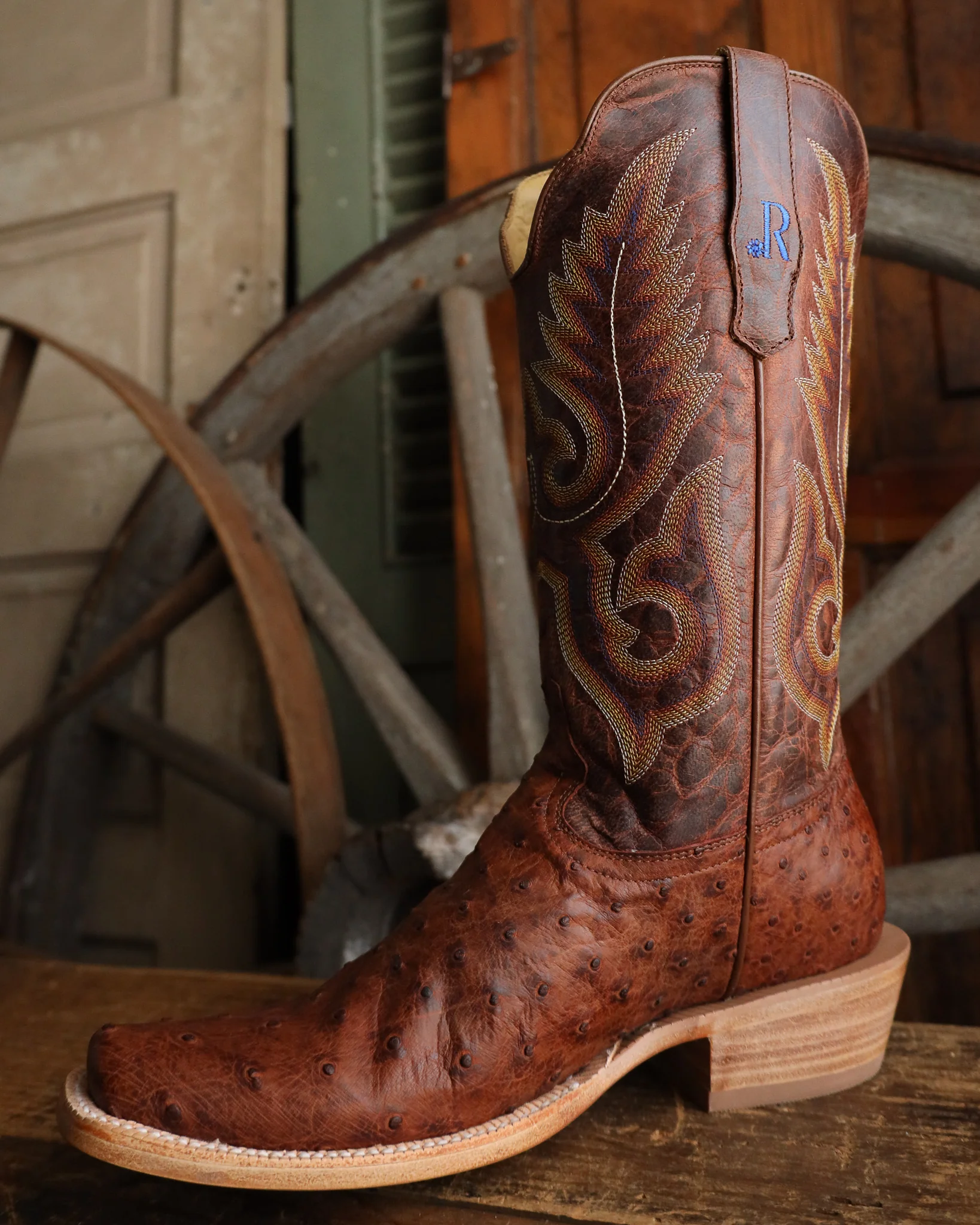 R. Watson Full Quill Ostrich Narrow Square Brass 13" Boot - Image 5