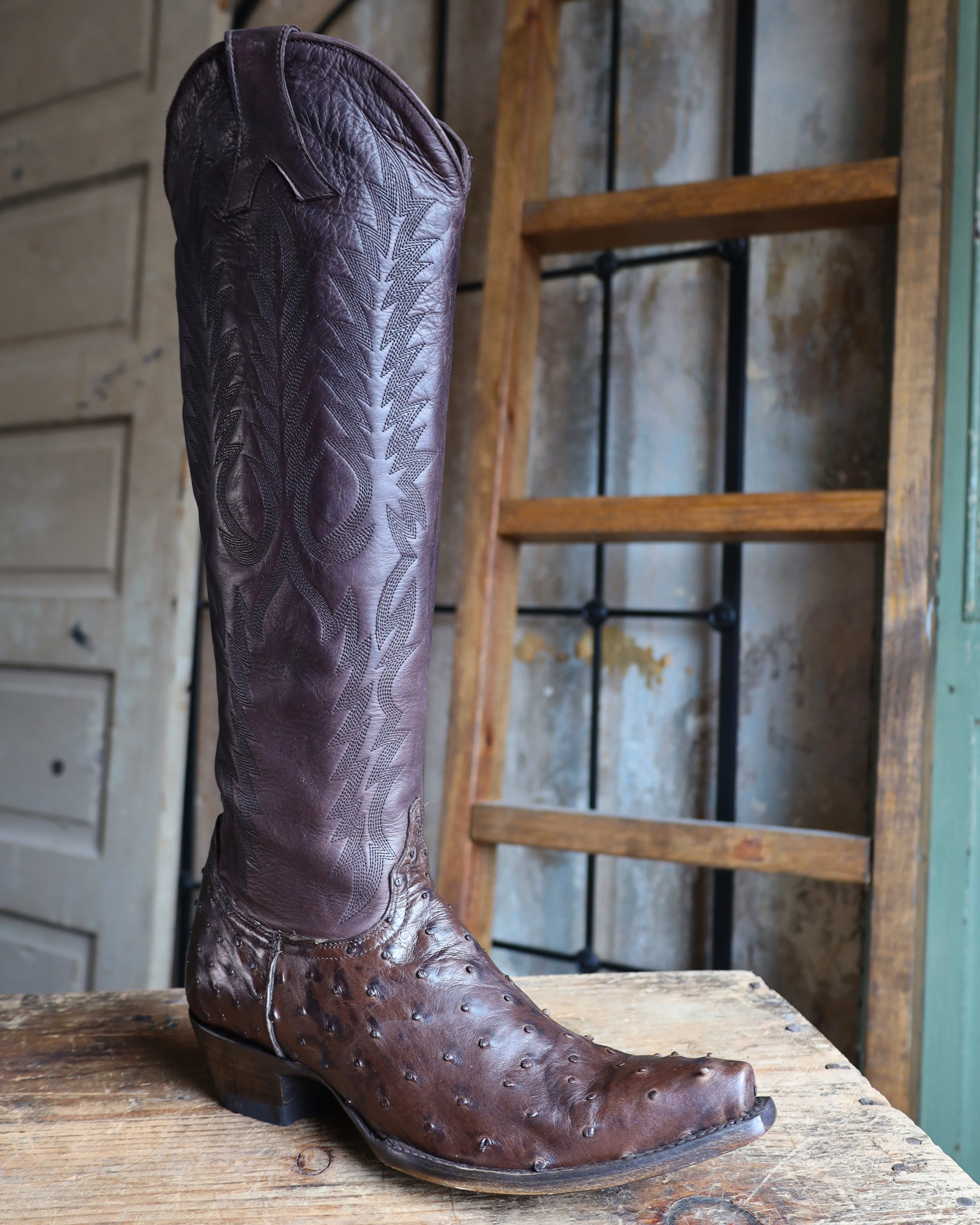OLD GRINGO WOMEN'S MAYRA OSTRICH 18" BOOT- CHOCOLATE - Image 2