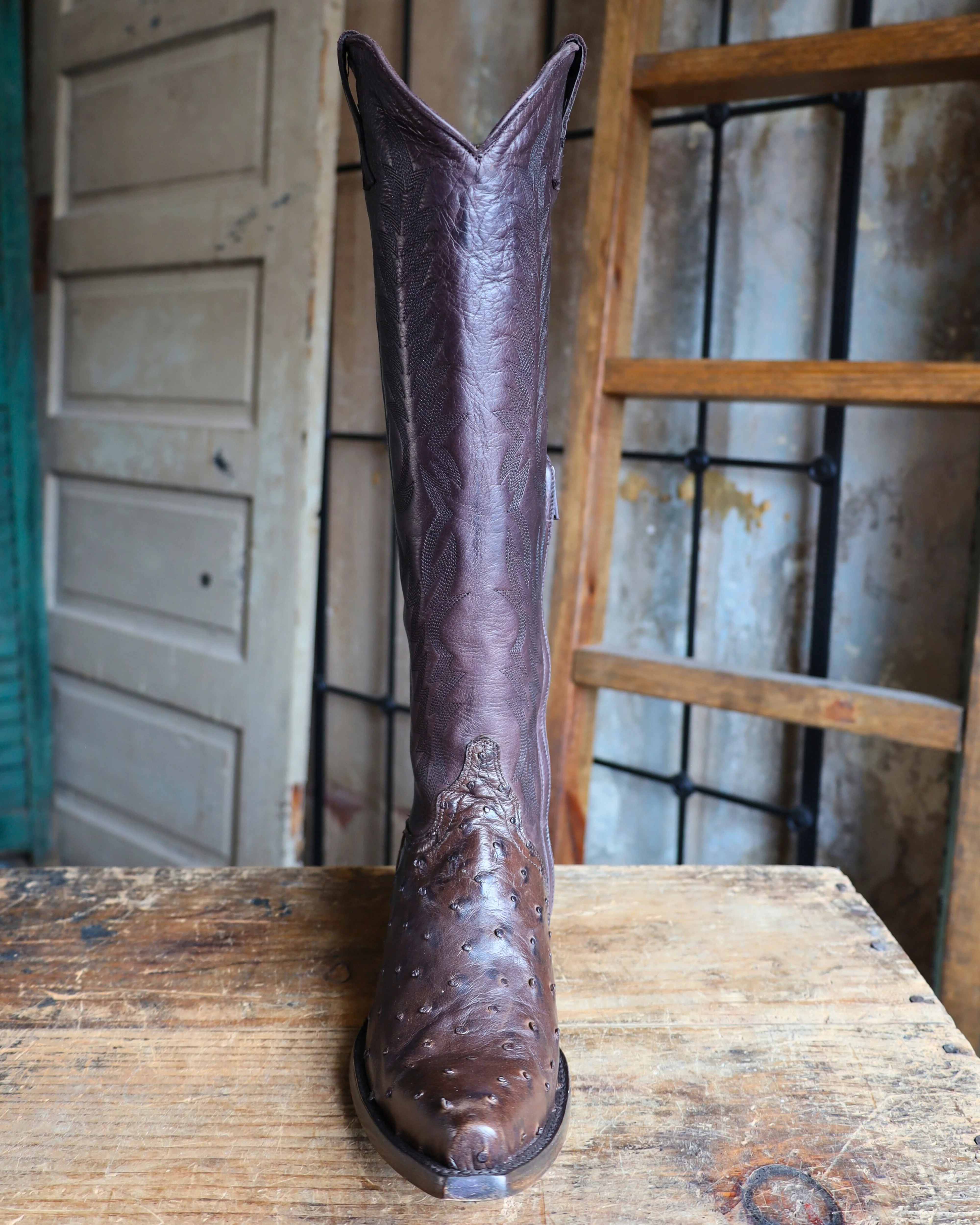 OLD GRINGO WOMEN'S MAYRA OSTRICH 18" BOOT- CHOCOLATE - Image 3
