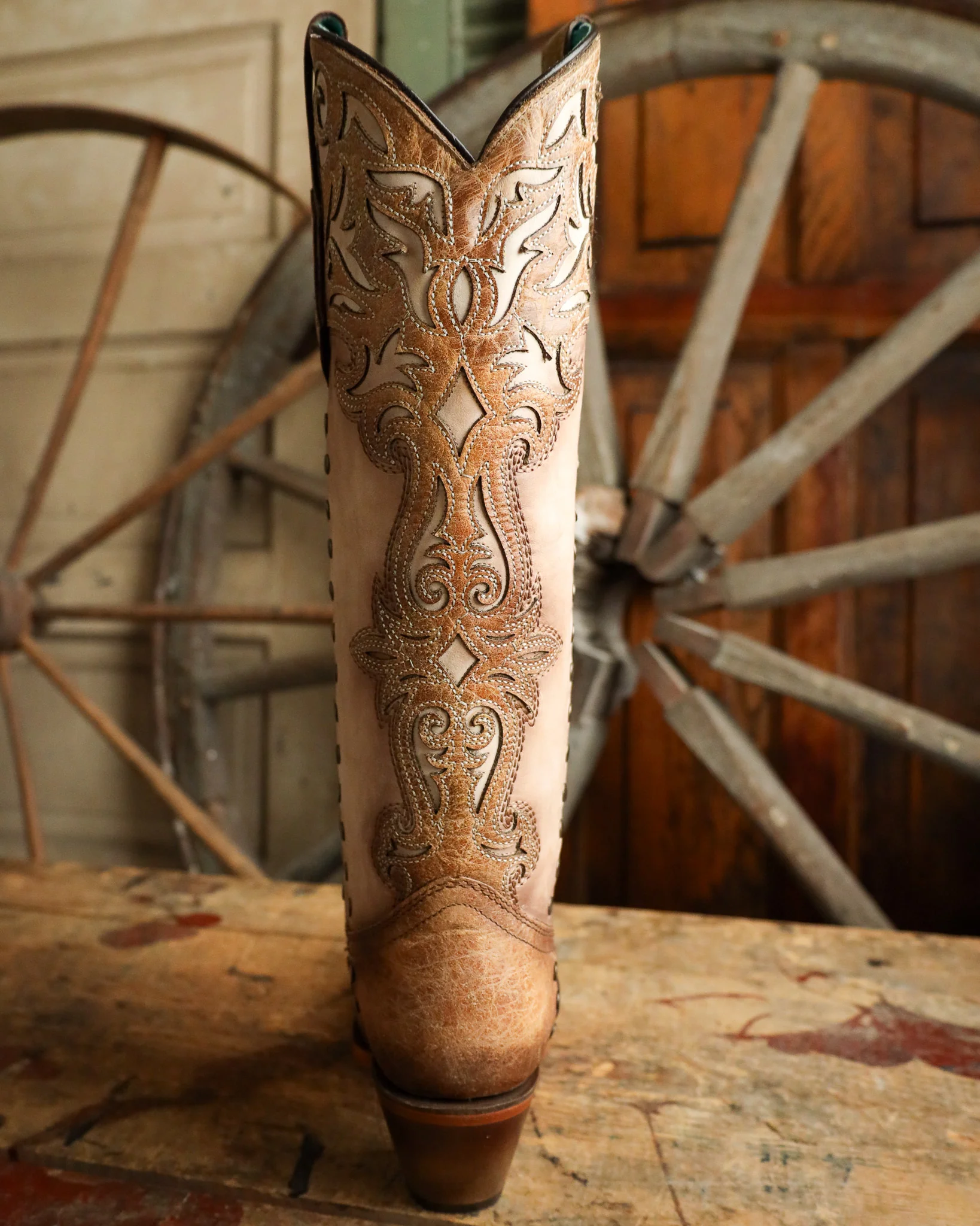 Corral Women's Tall Overlay Embroidery and Stud 15" Boot - Image 7