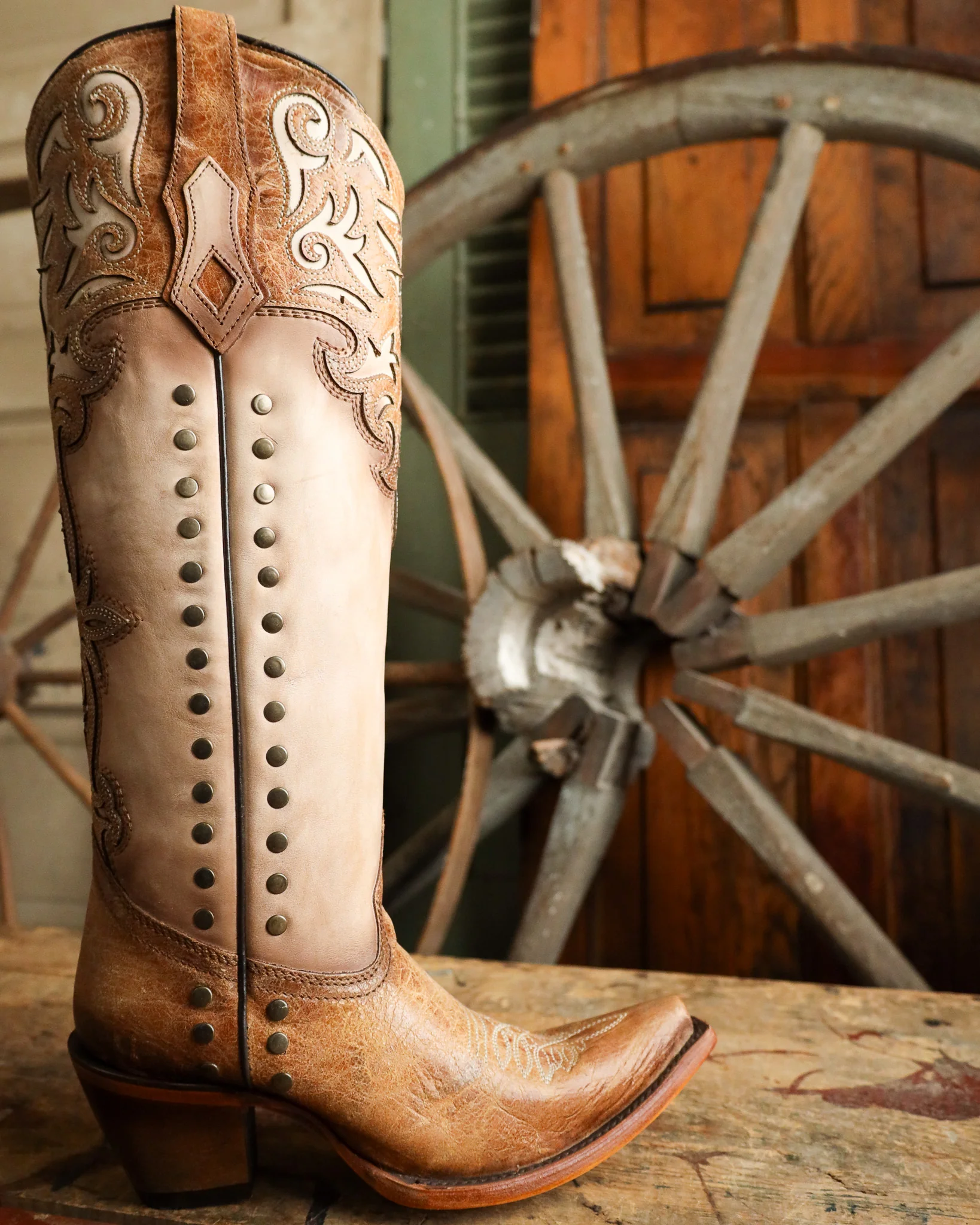 Corral Women's Tall Overlay Embroidery and Stud 15" Boot - Image 9