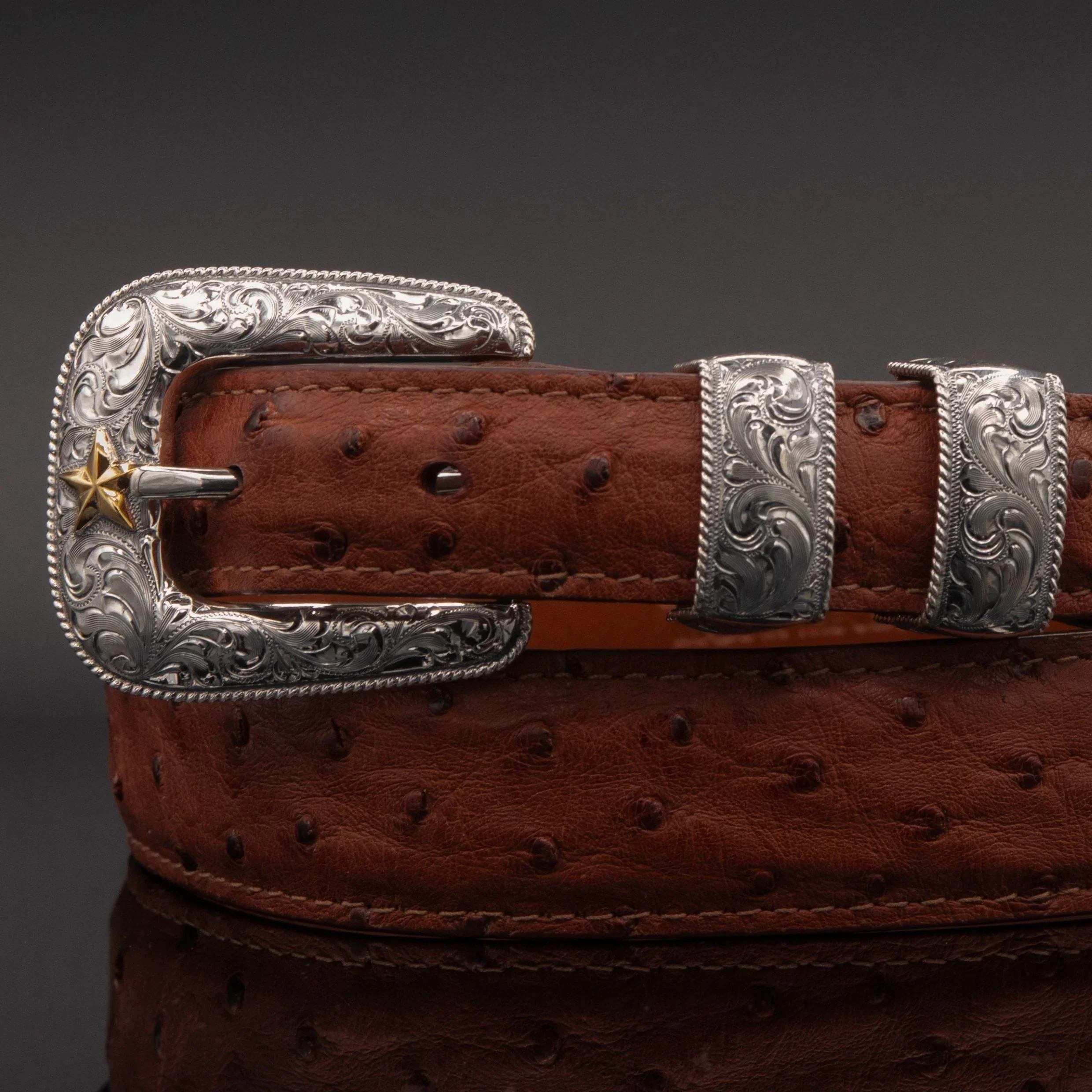 Vogt 14K Gold Star Senator Buckle Set - Image 8