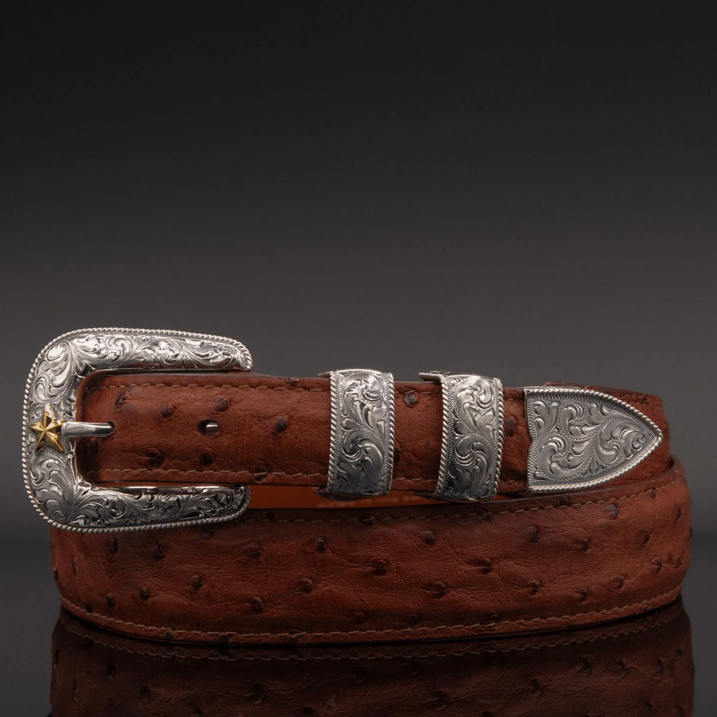 Vogt 14K Gold Star Senator Buckle Set - Image 9
