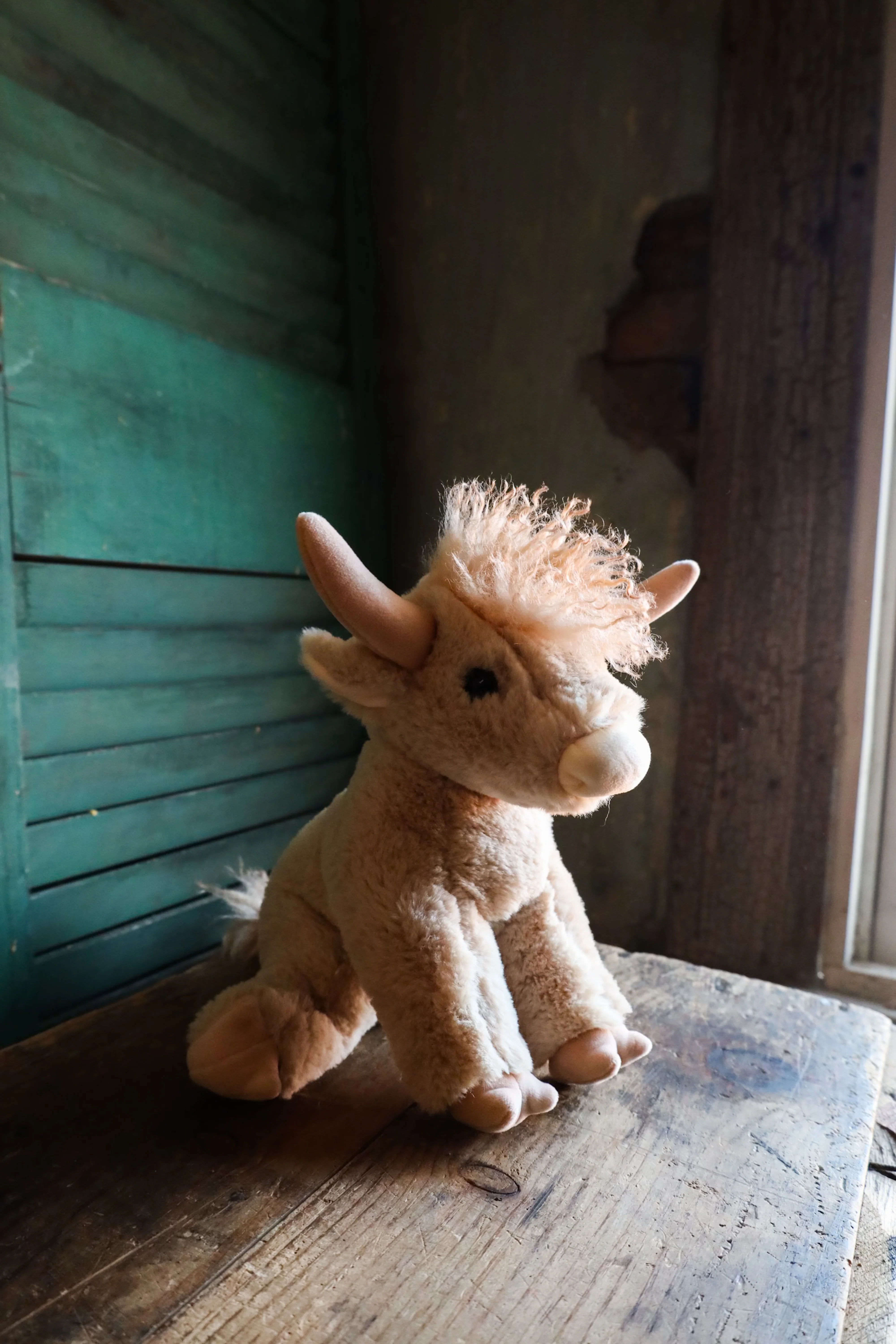 LADDIE CREAM HIGHAND SOFT PLUSH - Image 3