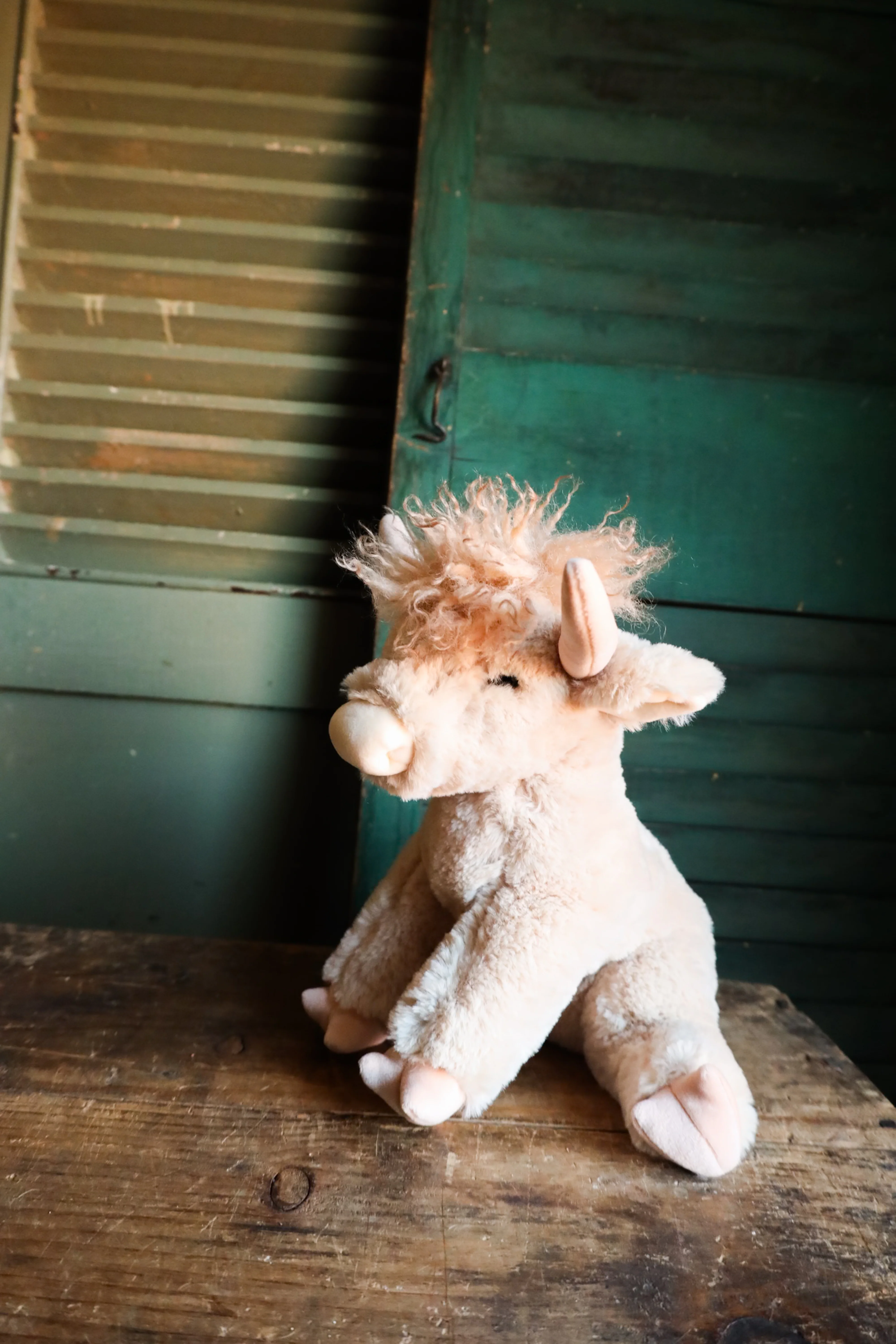 LADDIE CREAM HIGHAND SOFT PLUSH - Image 4
