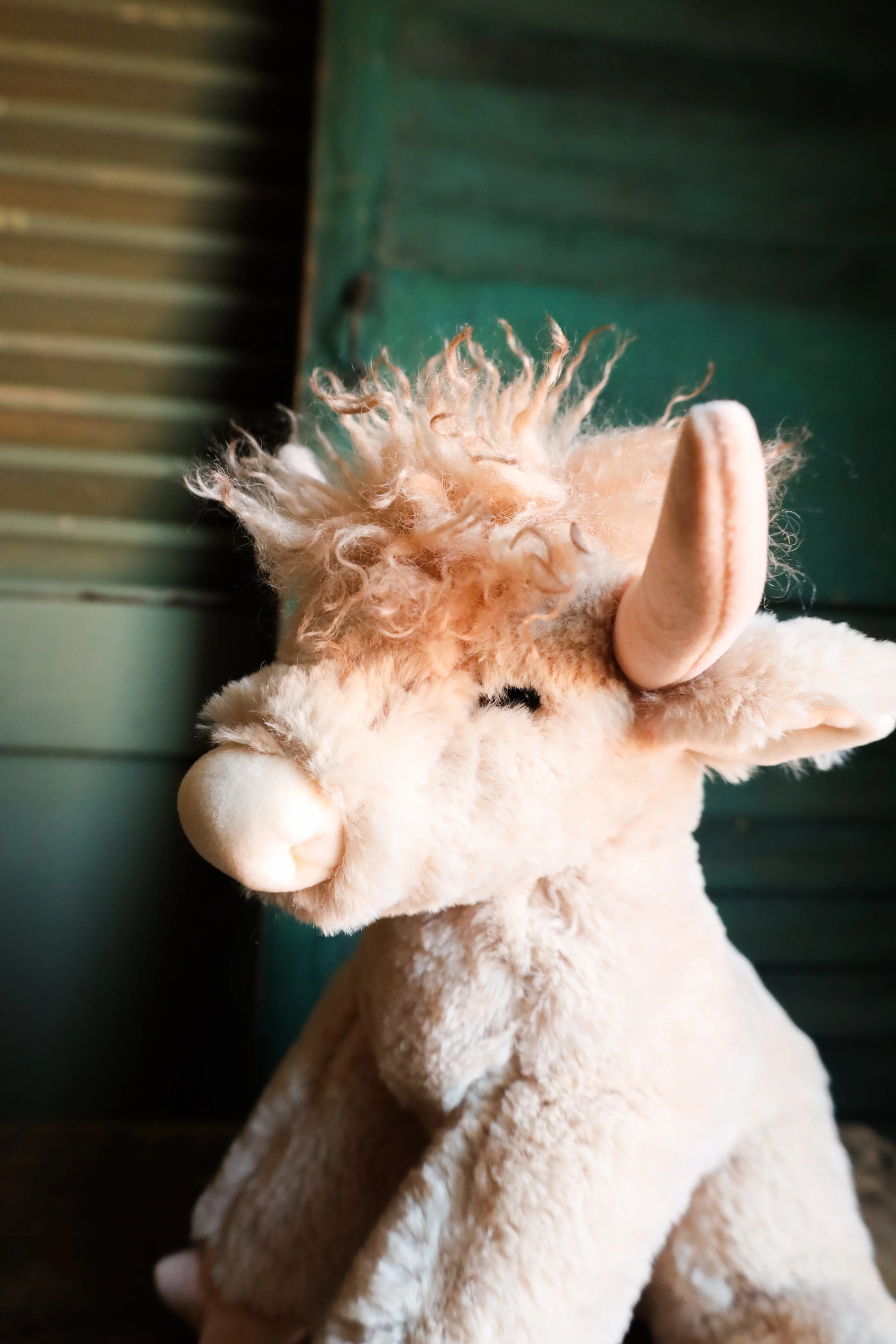 LADDIE CREAM HIGHAND SOFT PLUSH - Image 5