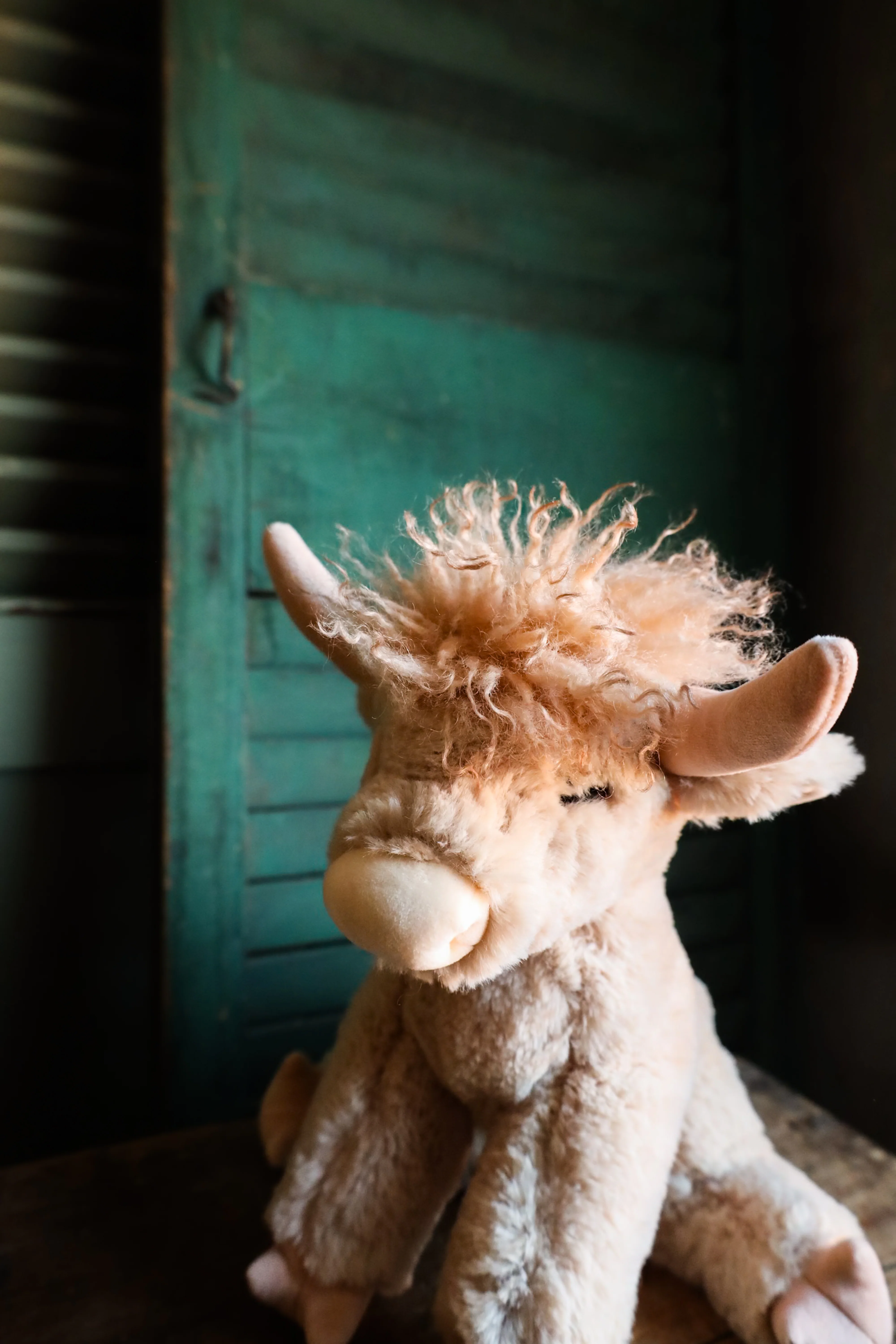 LADDIE CREAM HIGHAND SOFT PLUSH - Image 6